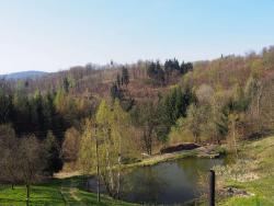 2015042710805729056e7804bd03f1cc2f3eaa20