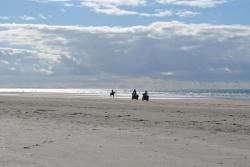 201502214564ef4956ad810c4bd1dba213c6b1af