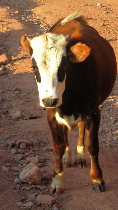 20160226115461be9d4d2ec0dfb2d943b977d555