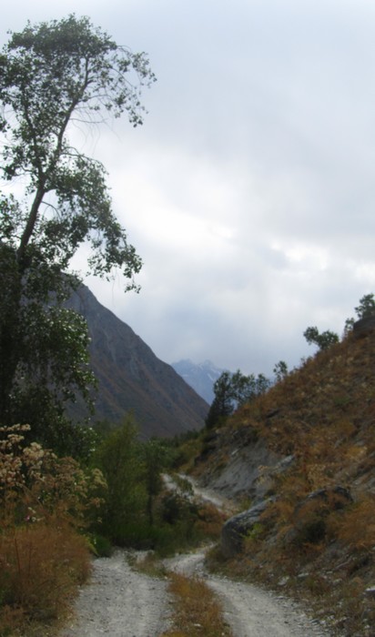 201602263680356e6c6967d9305fa3da66c5bf69