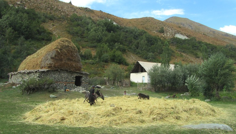 201602264012a2f5d01271482d7c5003fc981408