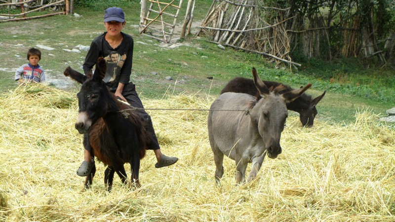 20160226434f4a25ce5d6fbd5a0a79d2c98c63b6