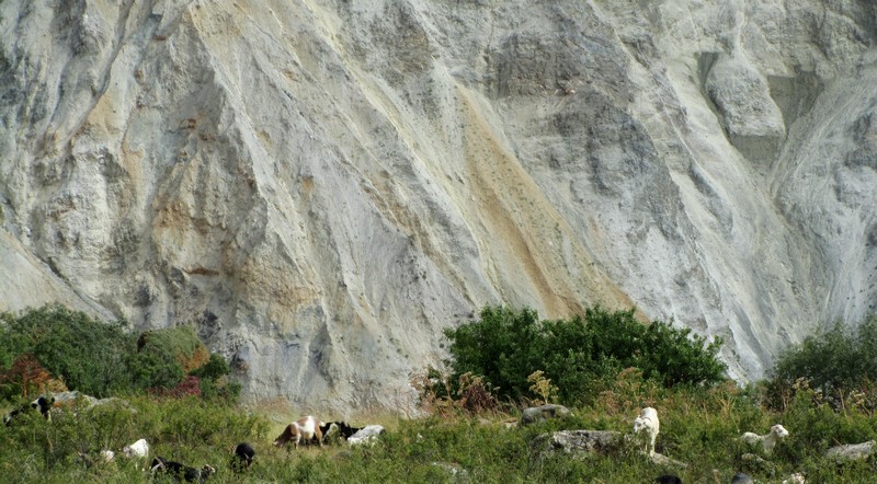 2016022655a9b6e72c1716d079c93b9328d14054