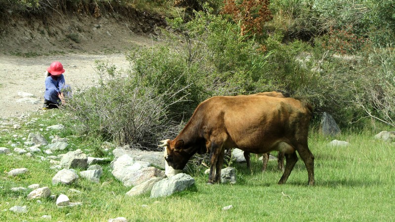 201602265818eccdff4dbb95466f81adbcbafb3c