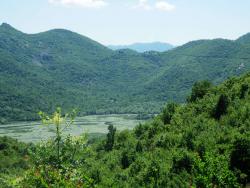 20150912022e7d763d0ace56a72156403cbe7f06