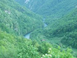 20150912150e4393b5907659d5a1094d0976ae1e