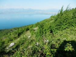 20150912212104f5e16c6e1a093f9e686cd6dccd