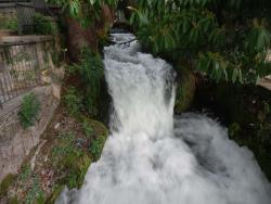 2015091226e7398e14552d1d36d7786334a23b0d