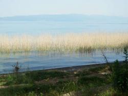 2015091232fe2bca05bd189d826c2e6c9db52844