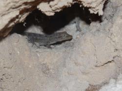 20150912408968b9f20e7f62e4237d5732fc17d9