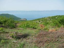 2015091247c855a8486494492ed52556c50f2c53