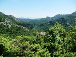 2015091248790bf04f0d5b38e93cc3642933b5c1