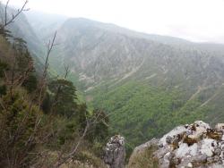 201509125091dc7487da3a169f26340a3ec564d3