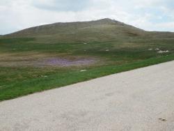 2015091251b72f9927016f1720832001f4b5e81d