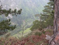 2015091251ef9f6fd56eece6ce033dc1444b7235