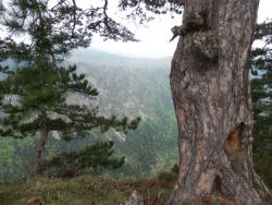 20150912545c1cbc8a5448f30033abcf8770a108