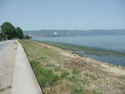 2015091254a47070669517dfd6cd05d4cb469f66