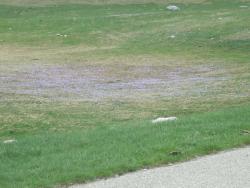 2015091254d70b04095f7aad717b3fdc4509d519