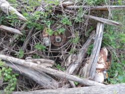 201509125580abdbecf836a6cc345327d9606855