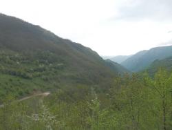 201509125737e11b5e9c85cade550e1ad8ef44c0