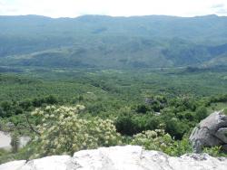 20150912582076ec863d2784864a6954bdb5deba