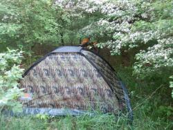 20150912596d74f1260572c64d4fcc50656bb7aa