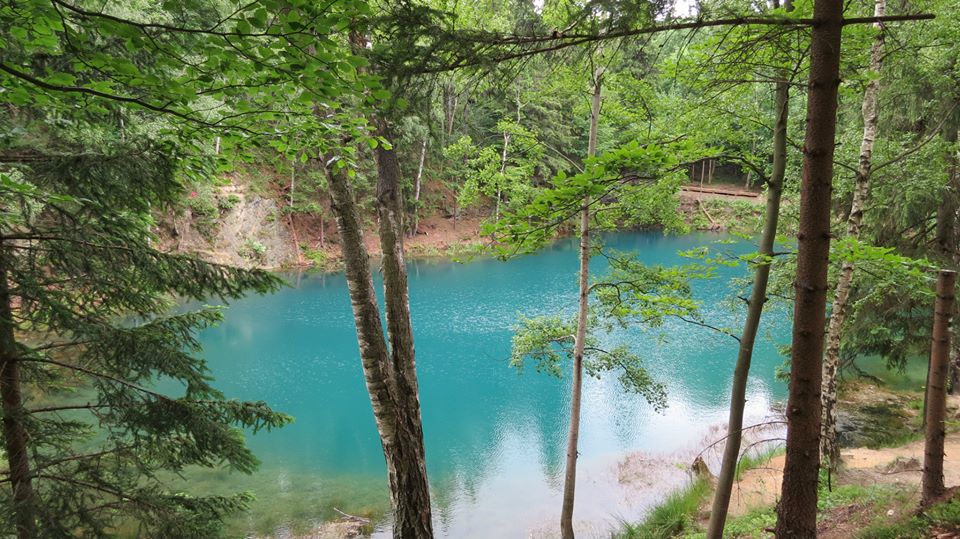 201603234655c8165693a7bc33799b0b55758434