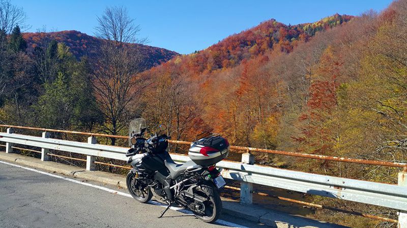 201603174032e75bbea260d72244cc20bf4dc5b4