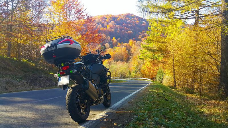 2016031740b78ea73c068b449923aff9804f2f0b