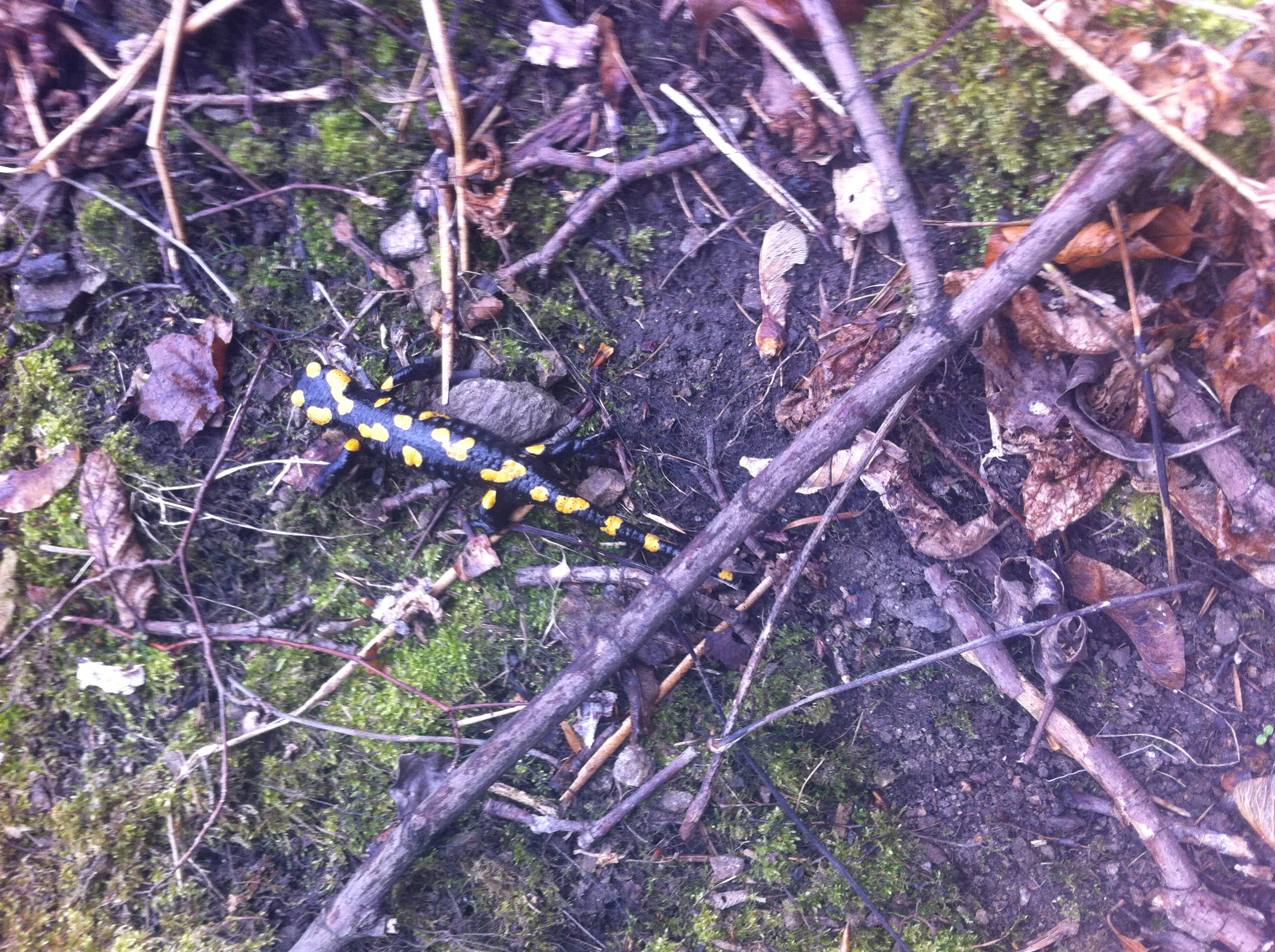 2015042834c6393451421ef3b72c41d628fd02f9