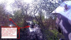 201505101381a8e0031a3868b4b198a5313ef6eb