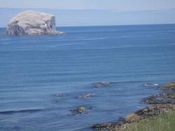 20140728303cdfe7bc5695a8f585e02c83f88bef