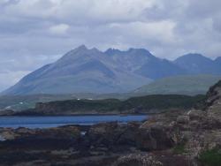 20140728509a717734b4f076e7872d27f74a95c7