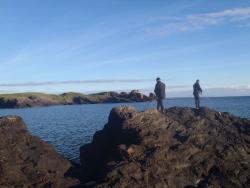 2014072852e0793a7299f1f950bee34cdb654282